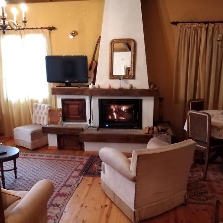 Villa Balkone In Montagna Metsovo Exterior foto